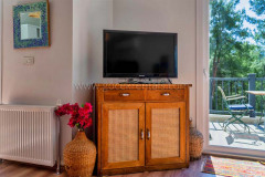 rent-a-forest-villa-with-pool-gocek-1