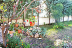 Göcek Kiralık Özel Havuzlu Müstakil Villa