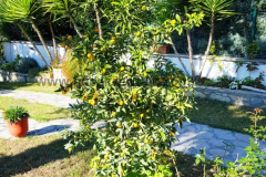 Göcek Kiralık Özel Havuzlu Müstakil Villa