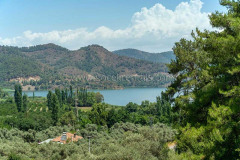 Forest-Holiday-Cottage-for-Rent-in-Sultaniye-Mugla-Turkey-1