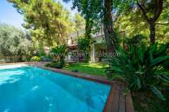 Luxury Forest Villa in Gocek
