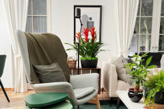 Portville Canal Villas Living-Room-4