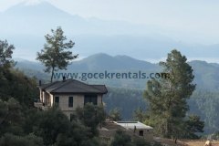 Secluded-Forest-Villa-with-Private-Pool-Shinrin-Yoku-6-1